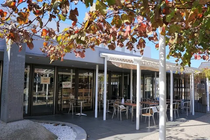 Koshu Day Trip: Exploring the Heart of Japan's Wine Culture