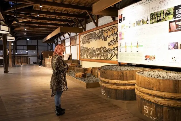 Koshu Day Trip: Exploring the Heart of Japan's Wine Culture