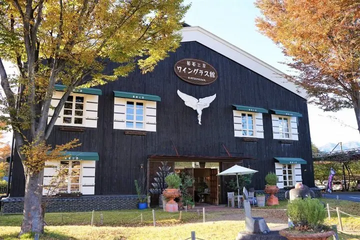 Koshu Day Trip: Exploring the Heart of Japan's Wine Culture