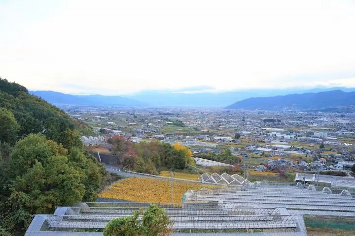 Koshu Day Trip: Exploring the Heart of Japan's Wine Culture