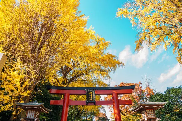 Enjoy Nature in Tokyo! Easy Access by Keisei Skyliner from Narita Airport