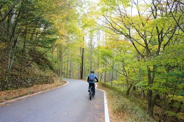 A Nikko Trip to Remember! Stay at a Luxury Hotel and Enjoy Nature