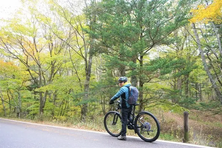 A Nikko Trip to Remember! Stay at a Luxury Hotel and Enjoy Nature