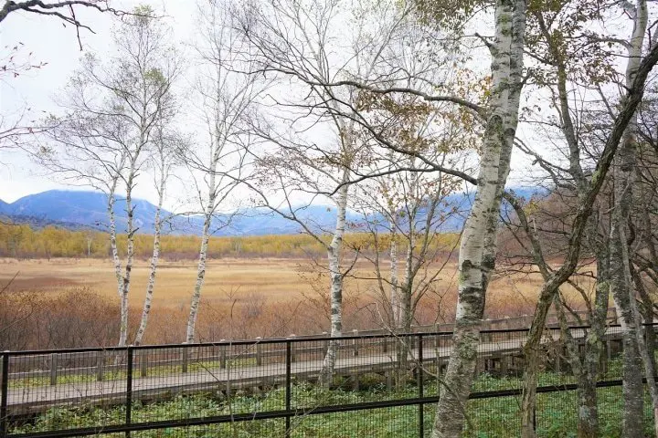 A Nikko Trip to Remember! Stay at a Luxury Hotel and Enjoy Nature