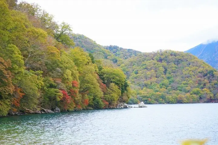 A Nikko Trip to Remember! Stay at a Luxury Hotel and Enjoy Nature