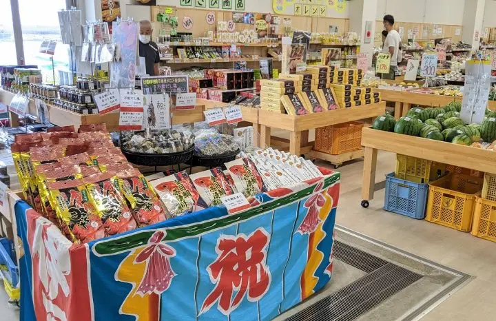 A Trip for All the Senses! Inatori Onsen: Ocean Views, Local Food, and Adventure