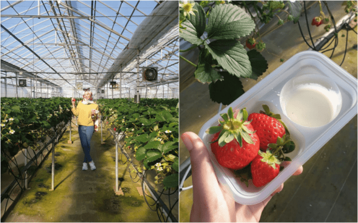 Halal Food and Cooking in Chiba! A Day Trip From Tokyo