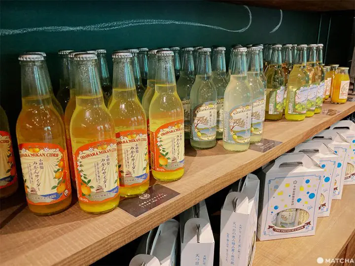 小田原城、神社境内の名物カフェ「cafe小田原柑橘倶楽部」