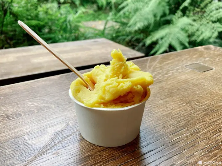 小田原城、神社境内の名物カフェ「cafe小田原柑橘倶楽部」