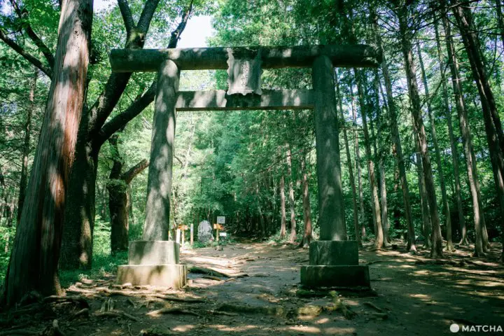 東京から日帰りハイキング。埼玉・日和田山で週末リフレッシュ