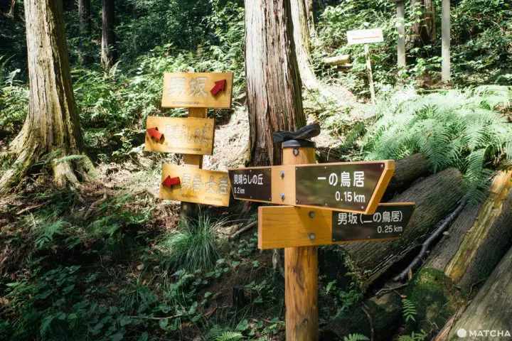 東京から日帰りハイキング。埼玉・日和田山で週末リフレッシュ