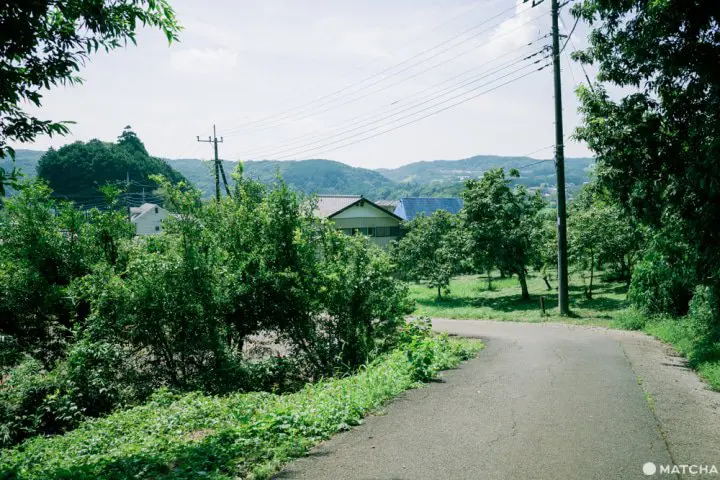 東京から日帰りハイキング。埼玉・日和田山で週末リフレッシュ