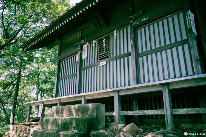東京から日帰りハイキング。埼玉・日和田山で週末リフレッシュ