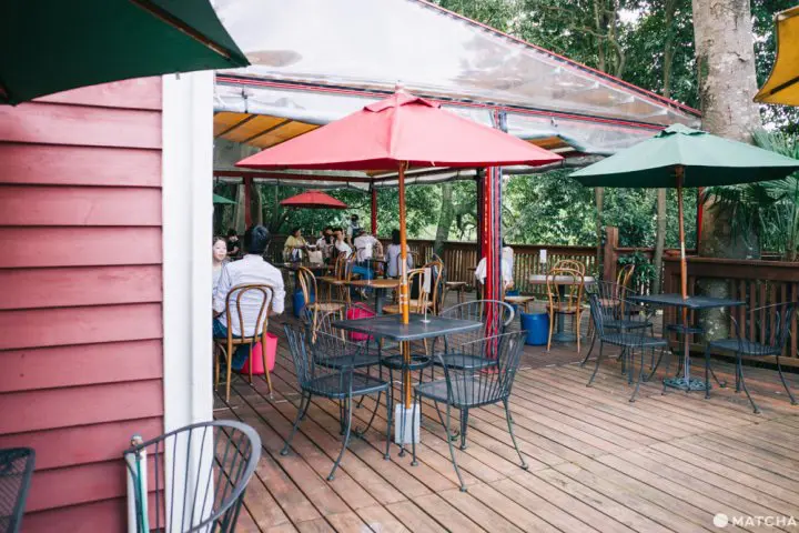 埼玉、ベジタリアンの聖地「阿里山カフェ」でいただくヘルシーランチ