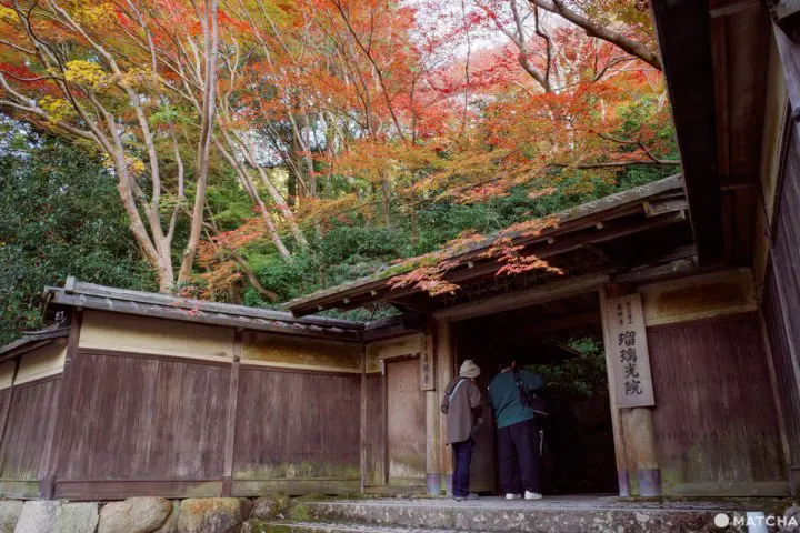 京都「瑠璃光院」。日本画のように美しい紅葉を愛でる