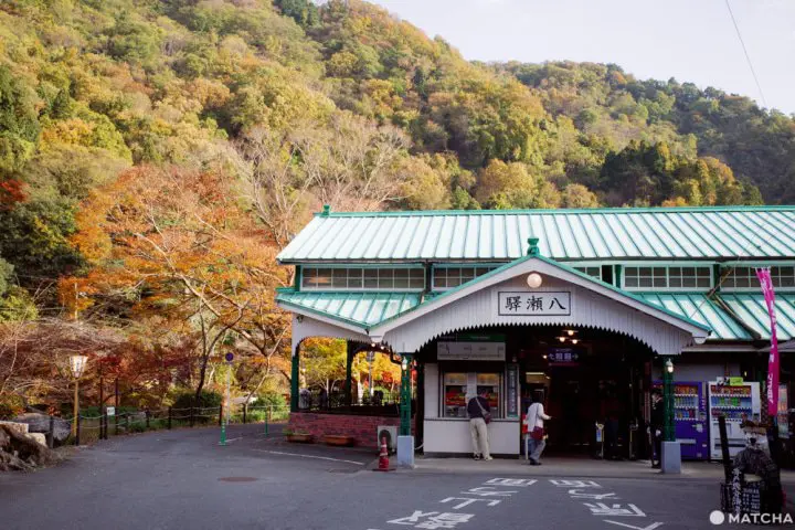 京都「瑠璃光院」。日本画のように美しい紅葉を愛でる