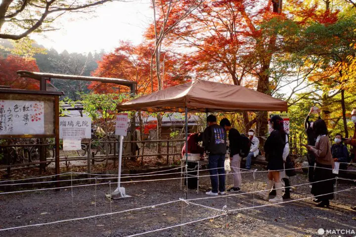 京都「瑠璃光院」。日本画のように美しい紅葉を愛でる