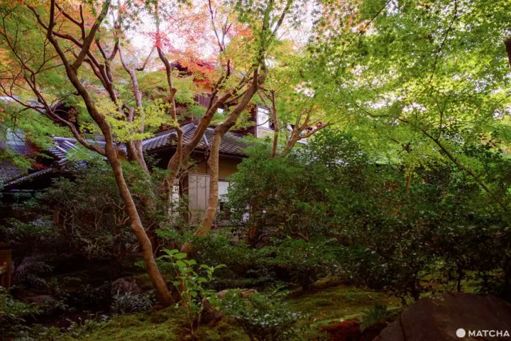 京都「瑠璃光院」。日本画のように美しい紅葉を愛でる