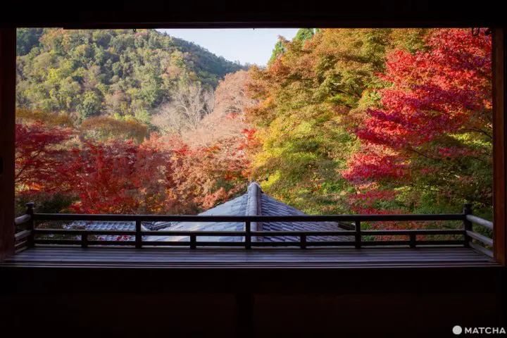 京都「瑠璃光院」。日本画のように美しい紅葉を愛でる