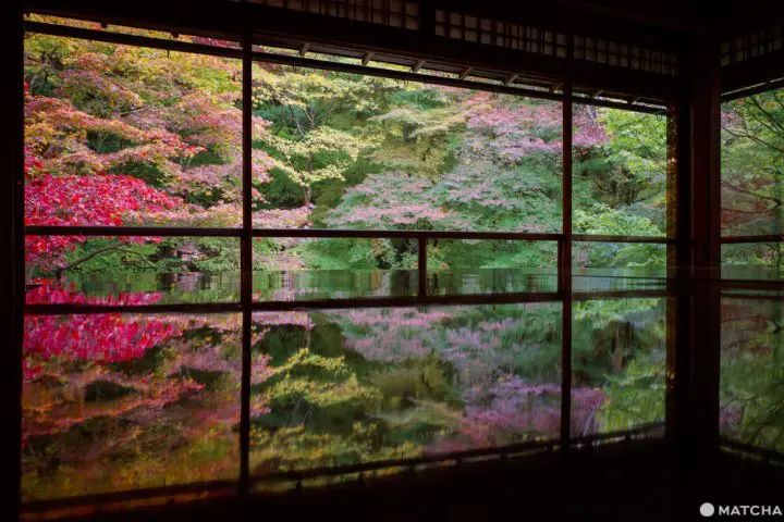 京都「瑠璃光院」。日本画のように美しい紅葉を愛でる