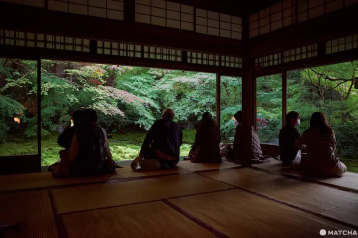 京都「瑠璃光院」。日本画のように美しい紅葉を愛でる