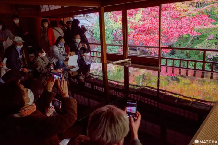 京都「瑠璃光院」。日本画のように美しい紅葉を愛でる