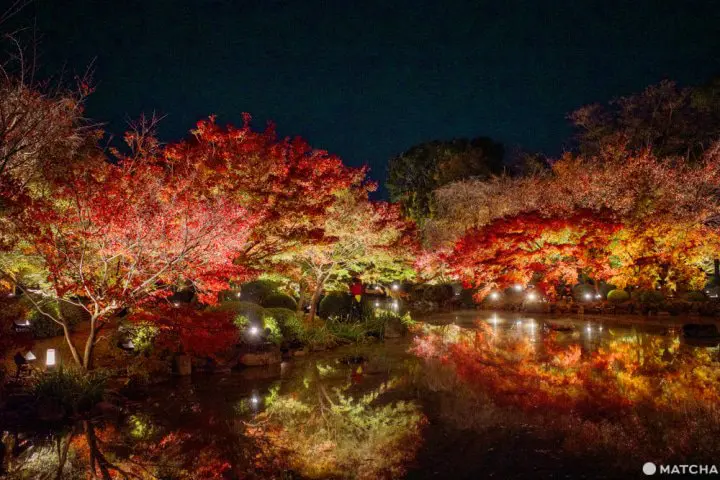 秋の京都「東寺」特別拝観。闇夜の幻想的な紅葉