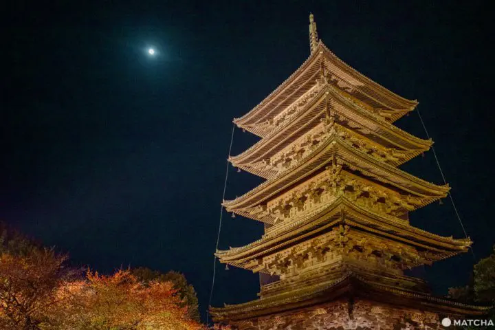 秋の京都「東寺」特別拝観。闇夜の幻想的な紅葉