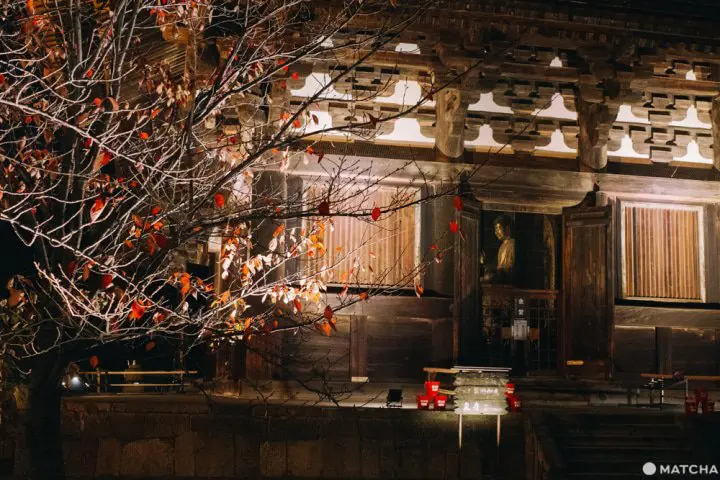 秋の京都「東寺」特別拝観。闇夜の幻想的な紅葉