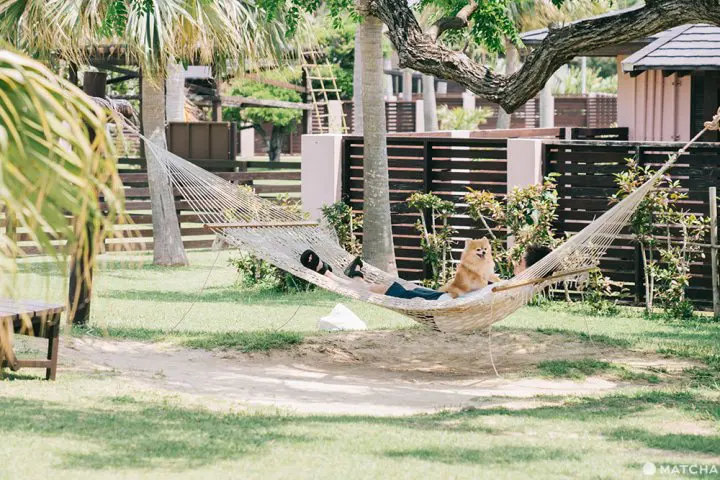 沖縄本島の秘境。大自然の「オクマプライベートビーチ&リゾート」でリラックス