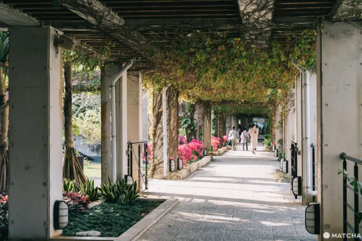 沖縄本島の秘境。大自然の「オクマプライベートビーチ&リゾート」でリラックス