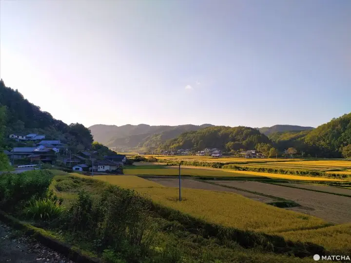 【大分竹田】溫泉、瀑布、懷石料理都在這！祖母山下秘境宿「民宿清流」