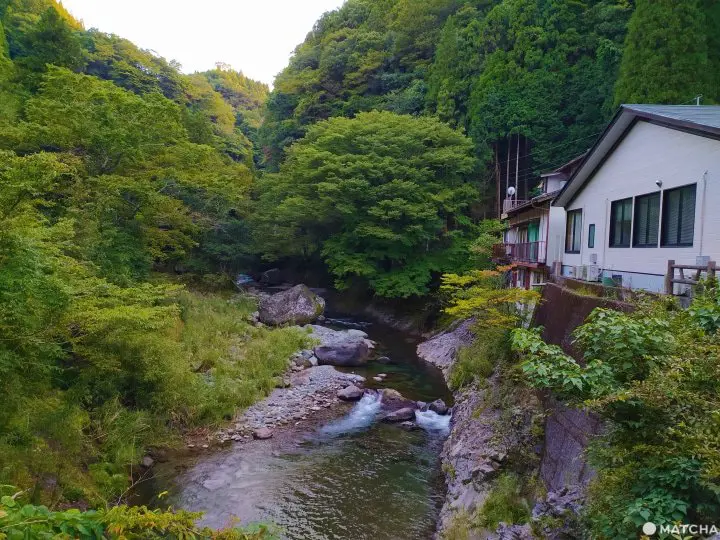 【大分竹田】溫泉、瀑布、懷石料理都在這！祖母山下秘境宿「民宿清流」