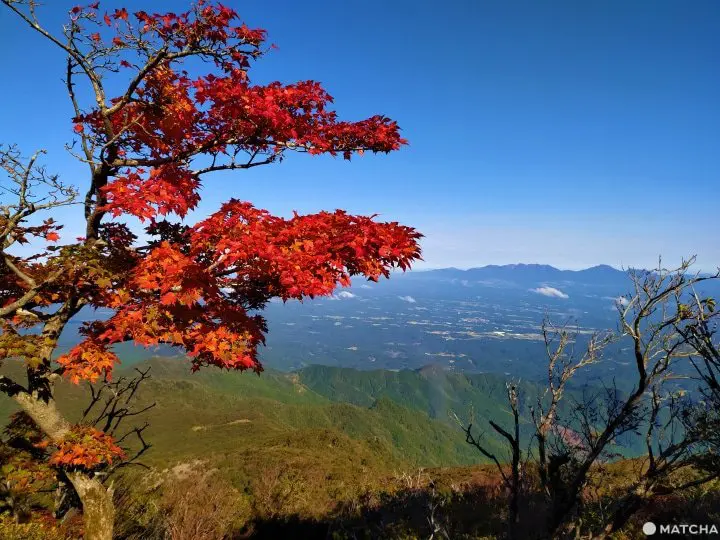 【大分竹田】溫泉、瀑布、懷石料理都在這！祖母山下秘境宿「民宿清流」