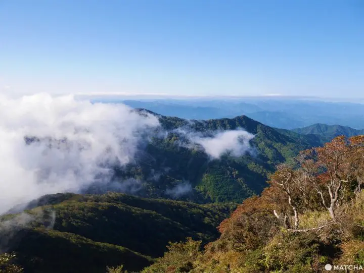 【大分竹田】溫泉、瀑布、懷石料理都在這！祖母山下秘境宿「民宿清流」