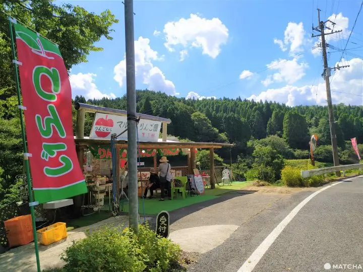 【佐賀】來三瀨高原「MARUYASU蘋果園」品嚐九州男兒用毅力種植成功的美味蘋果！