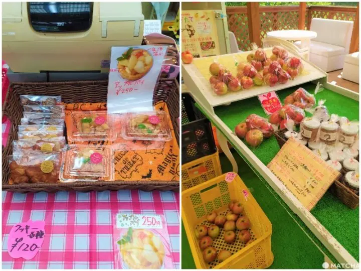 【佐賀】來三瀨高原「MARUYASU蘋果園」品嚐九州男兒用毅力種植成功的美味蘋果！