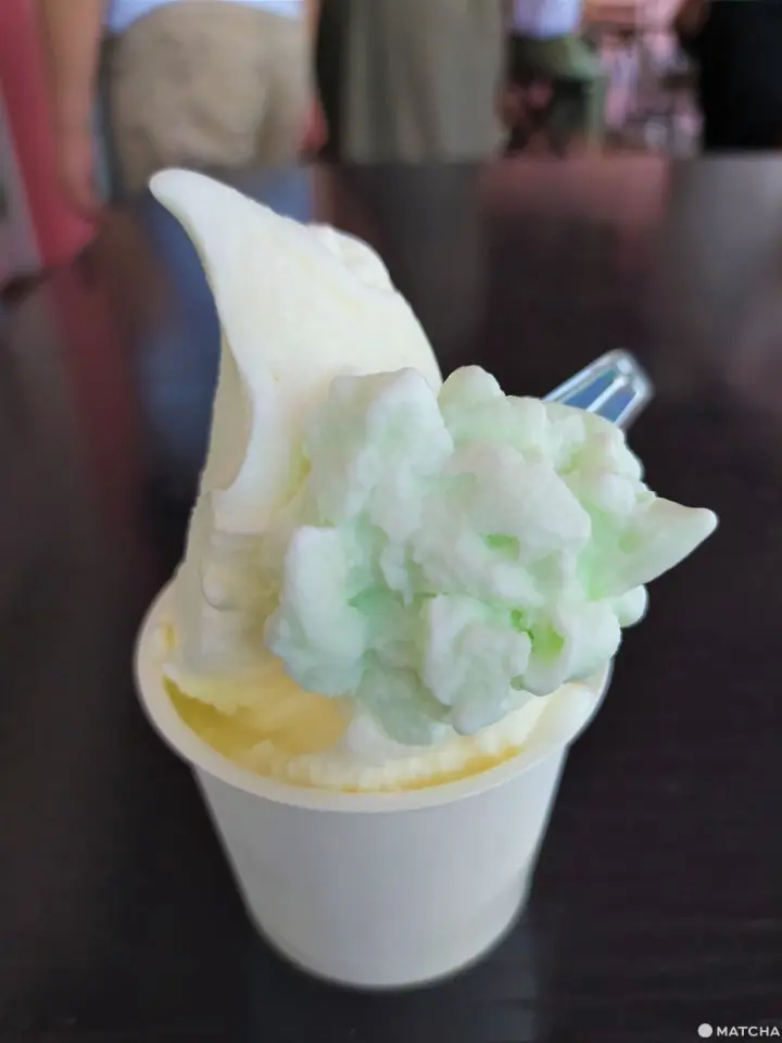 【福岡近郊】日本最長迴轉壽司轉台在這！在地小編推薦一日自駕兜風行程