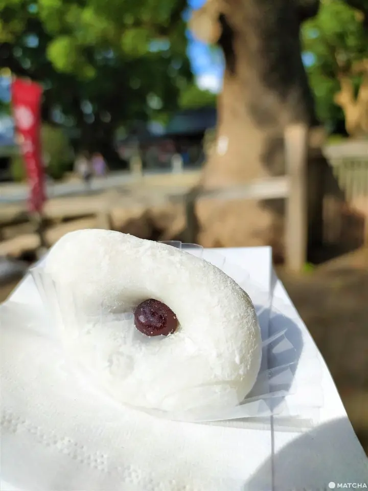 【福岡近郊】日本最長迴轉壽司轉台在這！在地小編推薦一日自駕兜風行程