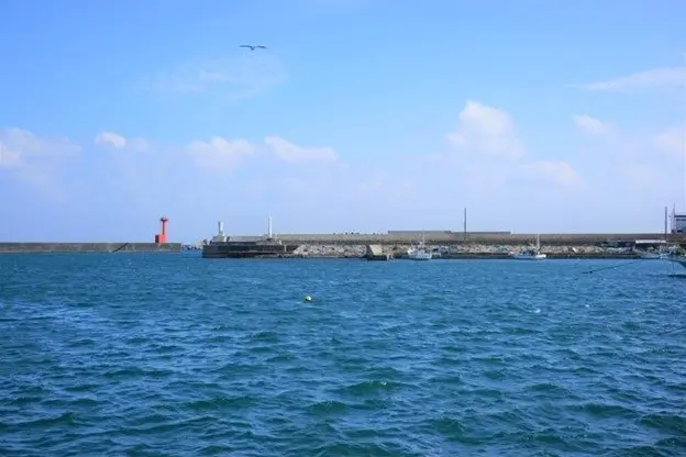 Izu Peninsula Geopark: Enjoy Scenic Ocean Views and Local Treats