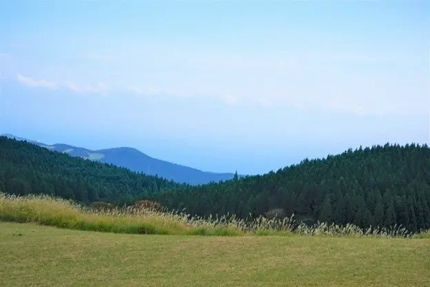 Izu Peninsula Geopark: Enjoy Scenic Ocean Views and Local Treats