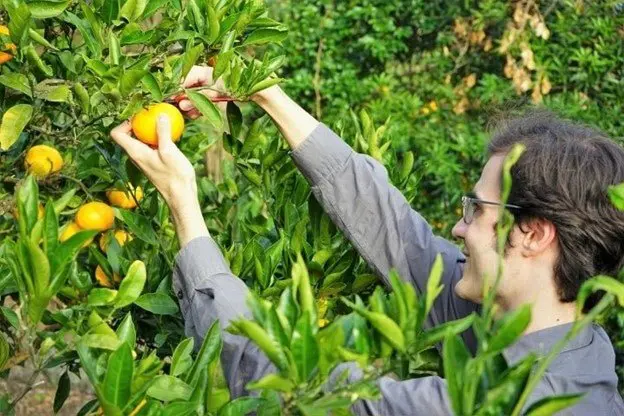 Izu Peninsula Geopark: Enjoy Scenic Ocean Views and Local Treats