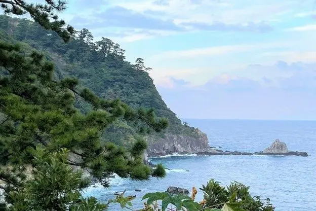 Izu Peninsula Geopark: Enjoy Scenic Ocean Views and Local Treats