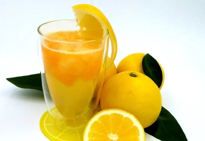 Izu Peninsula Geopark: Enjoy Scenic Ocean Views and Local Treats