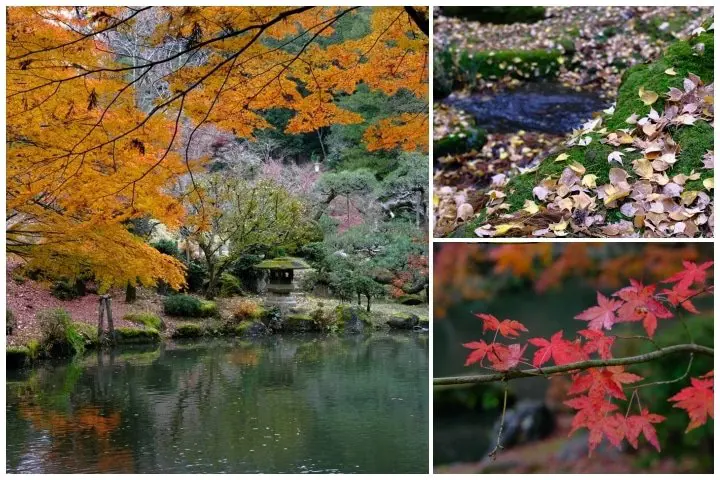 Keisei พาเพลิน One day Trip! เที่ยวสนุกเที่ยวสบายใกล้สนามบินแบบไม่ง้อโตเกียว