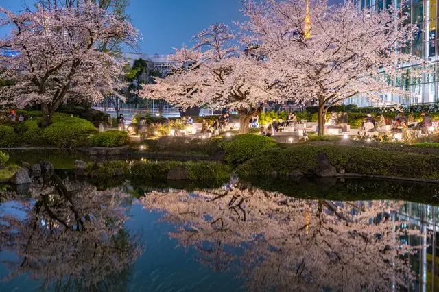 桜のシーズン情報&日本のお花見スポット44選【2022年保存版】