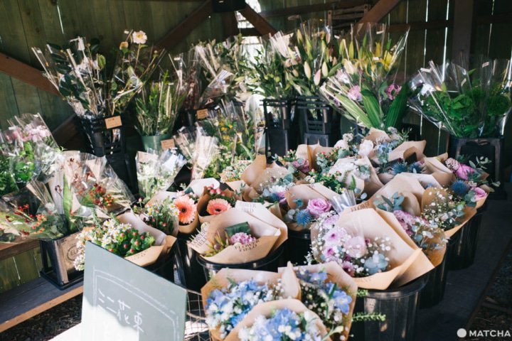 長野 軽井沢のフラワーカフェ Gaflo Cafe のメニュー アクセス Matcha 訪日外国人観光客向けwebマガジン