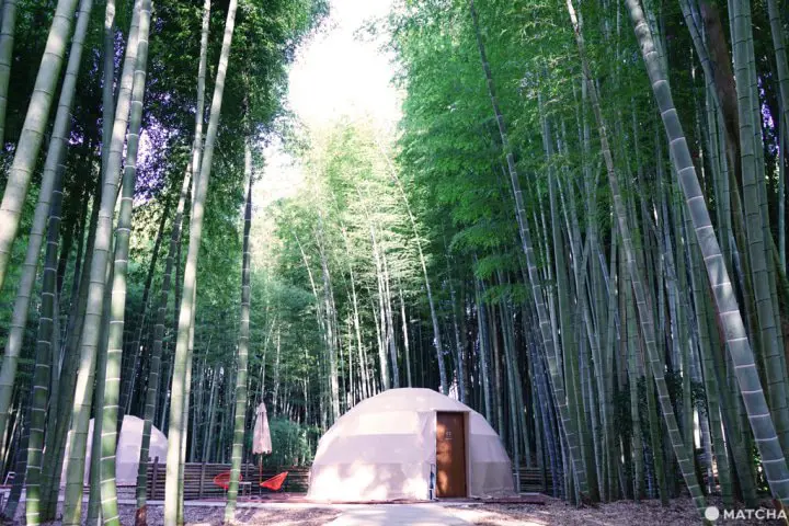 東京 豪華グランピング