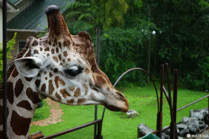 千葉 観光スポット