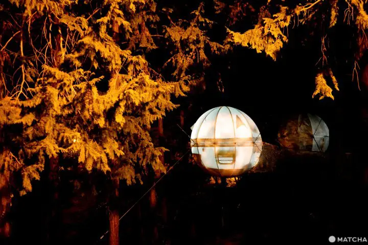 日本豪華グランピング 